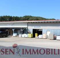 Halle in Wald-Michelbach 275.000,00 € 314 m²