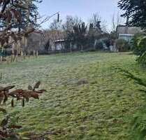 Grundstück zu verkaufen in Vlotho 65.000,00 € 700 m²