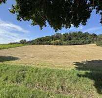 Grundstück in Rimbach 71.253,00 € 5481 m²