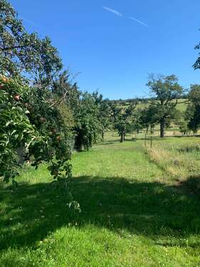 Foto - Haus zum Kaufen in Marxzell 559.000,00 € 250 m²