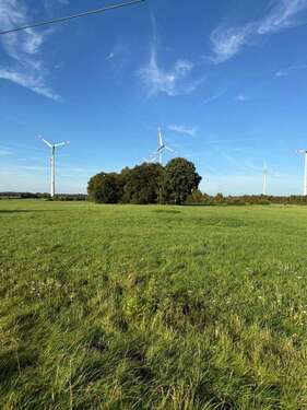 Foto - Grundstück in Bramstedt 14.500,00 € 16403 m²