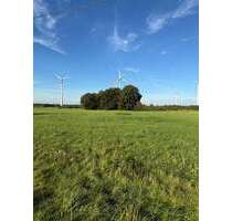 Grundstück in Bramstedt 14.500,00 € 16403 m²