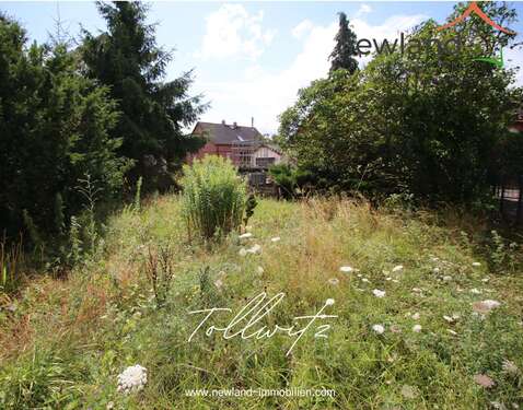 Foto - Grundstück zu verkaufen in Bad Dürrenberg 89.001,00 € 2500 m²