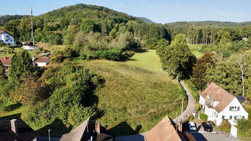 Foto - Grundstück zu verkaufen in Erlenbach bei Dahn 285.000,00 € 3340 m²