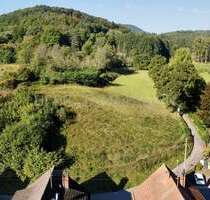 Grundstück zu verkaufen in Erlenbach bei Dahn 285.000,00 € 3340 m²