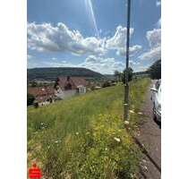 Grundstück zu verkaufen in Ingelfingen 134.000,00 € 788 m²