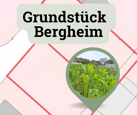 Foto - Grundstück zu verkaufen in Bergheim 95.500,00 € 281 m²