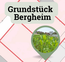 Grundstück zu verkaufen in Bergheim 95.500,00 € 281 m²