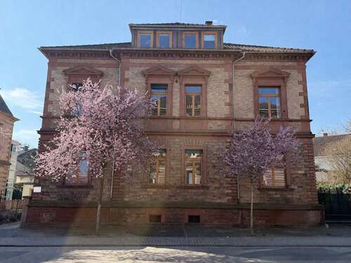 Foto - Büro in Landau 1.830,00 € 147 m²