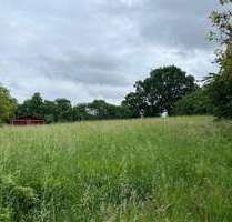 Grundstück zu verkaufen in Falkenberg 250.000,00 € 9737 m²