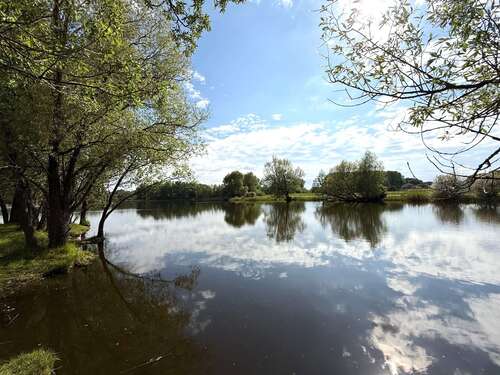 Foto - Grundstück zu verkaufen in Schwante Oberkrämer 179.000,00 € 701 m²