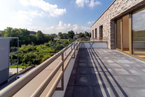 Foto - Wohnung zum Mieten in Chemnitz 1.100,00 € 64.72 m²