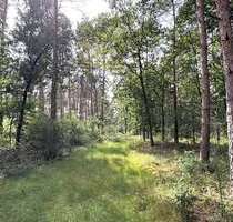 Grundstück in Wardenburg 79.000,00 € 27293 m²