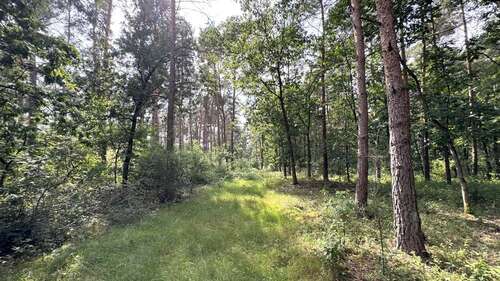 Foto - Grundstück in Wardenburg 74.000,00 € 27293 m²