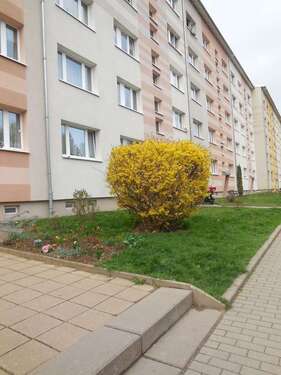 Foto - Wohnung zum Mieten in Döbeln 249,00 € 47.15 m²