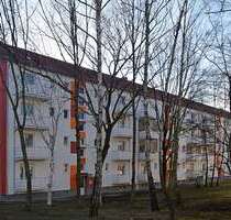 Wohnung zum Mieten in Halle (Saale) 381,29 € 50.53 m²