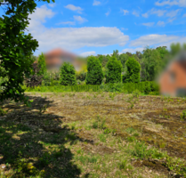 Grundstück zu verkaufen in Buchholz in der Nordheide 489.000,00 € 1345 m²