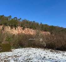 Grundstück zu verkaufen in Büdingen 395.000,00 € 1376 m²