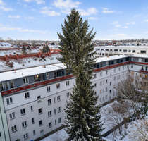 Wohnung zum Kaufen in Berlin 227.999,00 € 56 m²