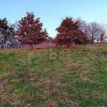 Foto - Grundstück zu verkaufen in Kinderbeuern 89.500,00 € 1404 m²