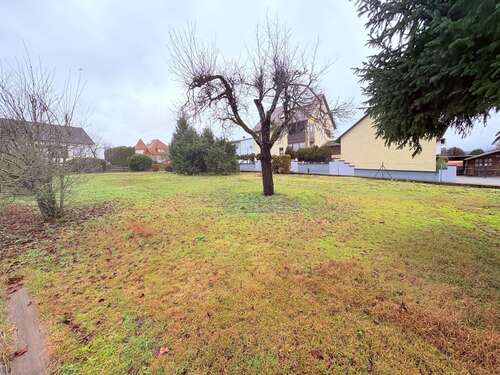 Foto - Grundstück zu verkaufen in Hallerndorf Ot Trailsdorf 258.000,00 € 754 m²