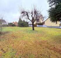 Grundstück zu verkaufen in Hallerndorf Ot Trailsdorf 258.000,00 € 754 m²