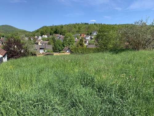 Foto - Grundstück zu verkaufen in Sailauf 299.000,00 € 804 m²