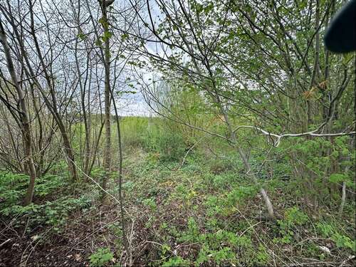 Foto - Grundstück zu verkaufen in Menden 149.500,00 € 1995 m²