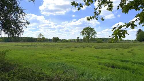 Foto - Grundstück in Edewecht 36.473,00 € 14589 m²