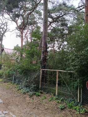Foto - Grundstück zu verkaufen in Brandenburg - Hoppegarten 320.000,00 € 800 m²