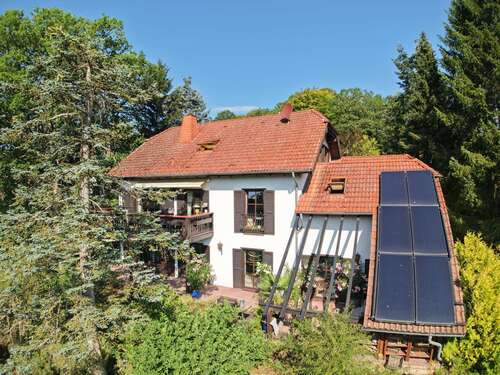 Foto - Haus zum Kaufen in Birresborn 448.500,00 € 228.65 m²