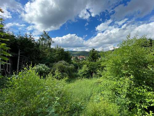 Foto - Grundstück zu verkaufen in Königstein 1.400.000,00 € 1293 m²