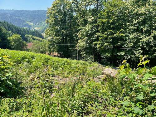 Foto - Grundstück zu verkaufen in Ottenhöfen im Schwarzwald 110.000,00 € 1585 m²
