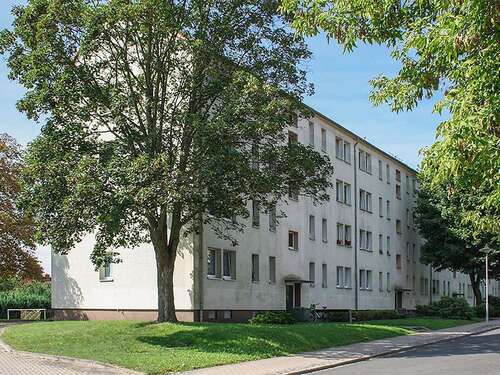 Foto - Wohnung zum Mieten in Lauchhammer 240,00 € 48 m²