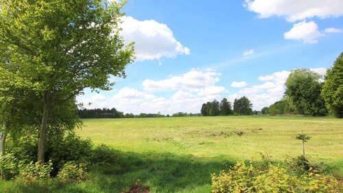 Foto - Grundstück in Edewecht 110.000,00 € 49137 m²