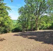 Grundstück zu verkaufen in Osterburken-Schlierstadt 96.000,00 € 2116 m²