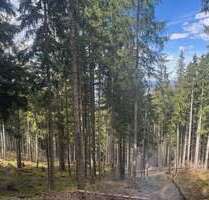 Grundstück in Saulgrub 199.000,00 € 81134 m²