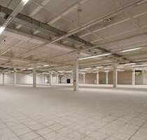 Halle in Ensdorf 2.950,00 € 1050 m²