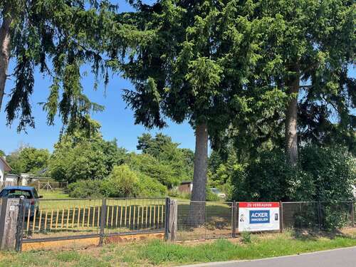 Foto - Grundstück zu verkaufen in Zeesen 325.000,00 € 1240 m²