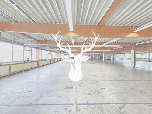Foto - Halle in Wehingen 10.000,00 € 3133 m²