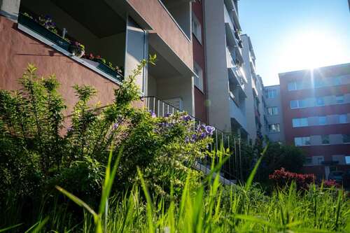 Foto - Wohnung zum Mieten in Halle (Saale) 360,00 € 57.31 m²