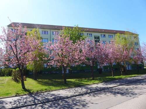 Foto - Wohnung zum Mieten in Limbach-Oberfrohna 320,00 € 56.77 m²