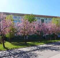 Wohnung zum Mieten in Limbach-Oberfrohna 320,00 € 56.77 m²