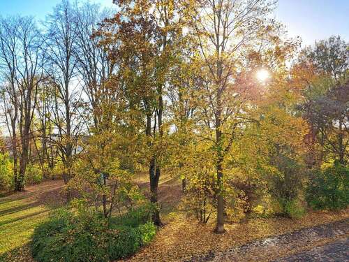 Foto - Wohnung zum Mieten in Magdeburg 723,33 € 74.57 m²