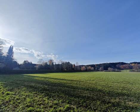 Foto - Grundstück zu verkaufen in Eichenau 85.000,00 € 630 m²