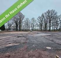 Haus zum Kaufen in Rodewald 349.940,00 € 144 m²