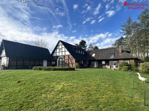 Foto - Haus zum Kaufen in Eggermühlen 639.000,00 € 224 m²