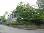 P1080648 - 