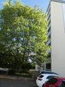 Ansicht 3 - 3 Zimmer Etagenwohnung in Trier
