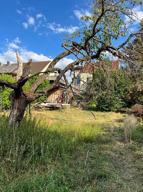 Garten - Grundstück zum Kaufen in Freudenburg